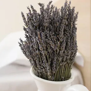 Appartamento Lavandula Ring, Tirana